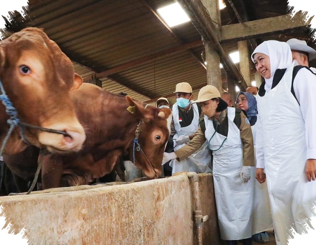 Surplus Hewan Kurban Jatim Sangat Besar, Pengawasan Kesehatan Dan Penyembelihan Diperketat