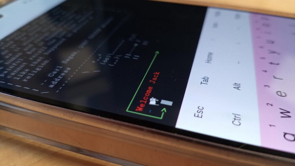 Google Tambah Pengatur Resolusi Di Terminal Linux Android, Performa Bisa Diprioritaskan Atas Tampilan