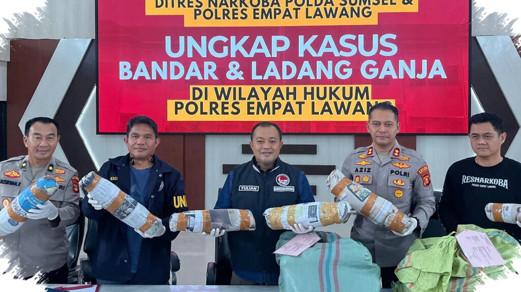 Ladang Ganja 20 Hektar Di Empat Lawang Dibongkar, Bandar Utama Tertangkap Saat Edarkan Barang