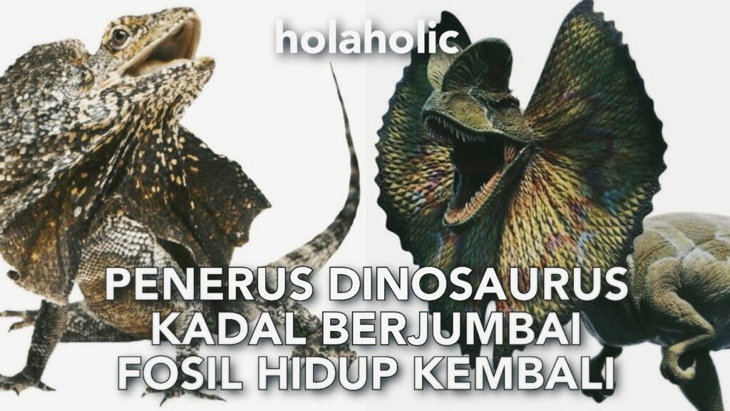 Saurus Bukan Milik Dinosaurus Saja, Jejaknya Masih Hidup Pada Soa Layar Hingga Soa Payung