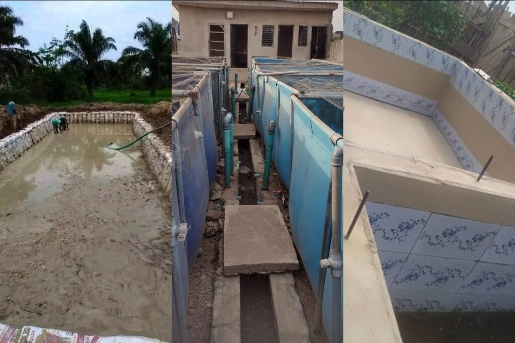 Modal Terbatas Efektif Pakai Kolam Terpal, Lahan Luas Bisa Lebih Cuan dengan Kolam Tanah