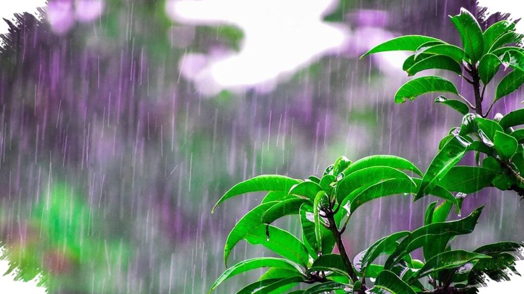 Sampai Akhir April, Jateng Selatan Masih Dikepung Hujan Lebat Dan Ancaman Banjir Longsor