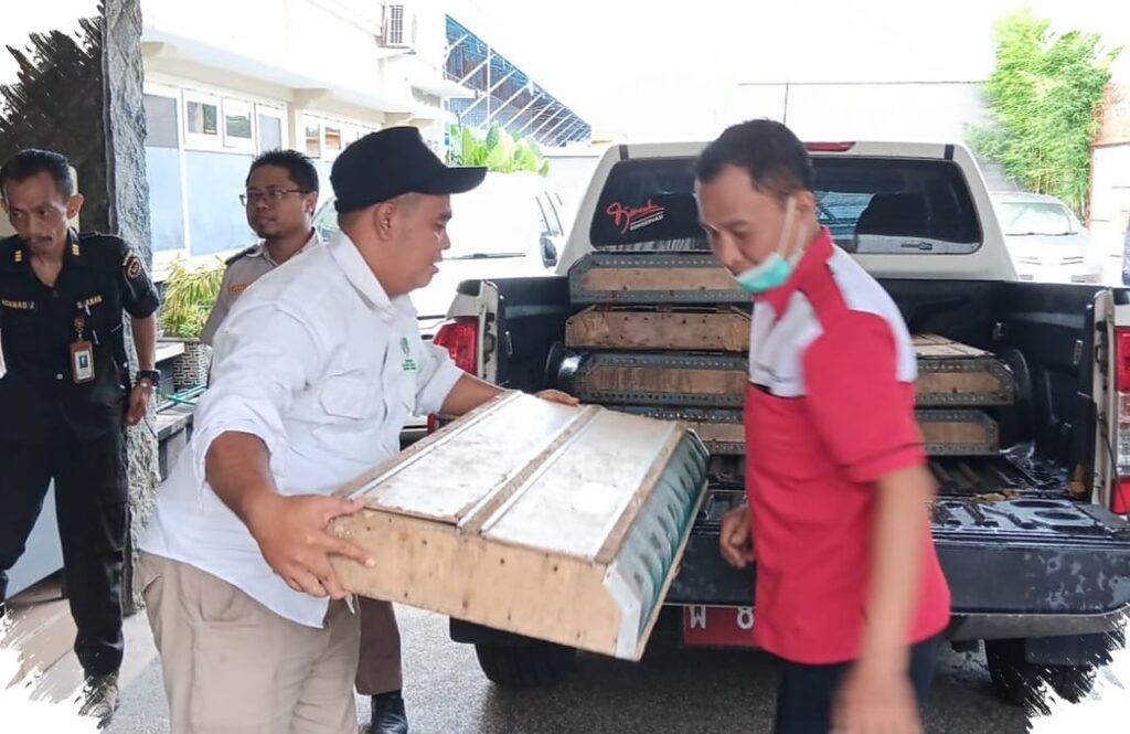 BKSDA Jatim Lepas Ratusan Burung Hasil Evakuasi Tanjung Perak, Tak Ingin Satwa Terlalu Lama Terkurung