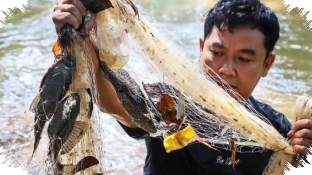 Sapu-Sapu Di Sungai Tercemar Dipenuhi Logam Berat, Dari Pangan Amazon Menjadi Ancaman Di Indonesia