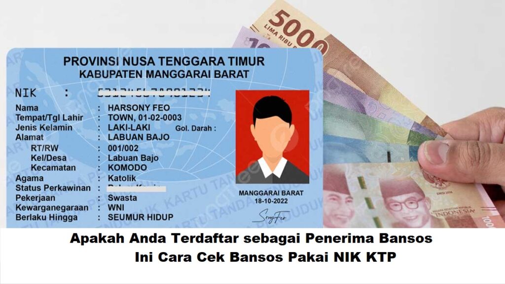 Cek Bantuan Sosial Kini Cukup Pakai NIK KTP, Desil DTSEN Langsung Terbaca