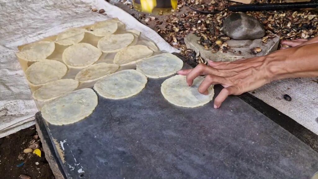 Melinjo Di Pekarangan Jadi Tambahan Penghasilan Warga Musi Rawas, Panen Daun Dan Buahnya Laris Dijual