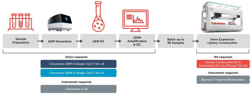 Otomatisasi Mengerek Single-Cell Transcriptomics, Dari 24 Menjadi 96 Sampel Sehari