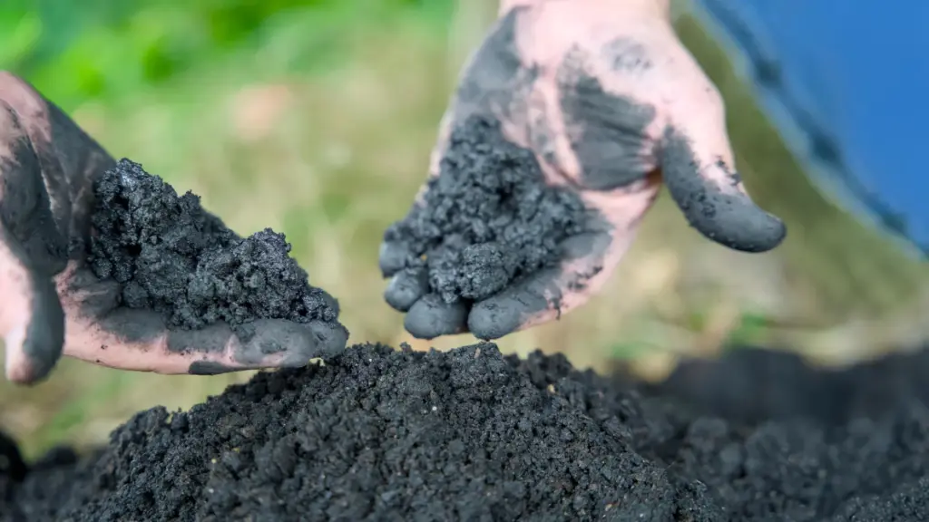 Investasi Rp420 Miliar Eco Power, Limbah Sawit Diubah Jadi Biochar dan Kredit Karbon