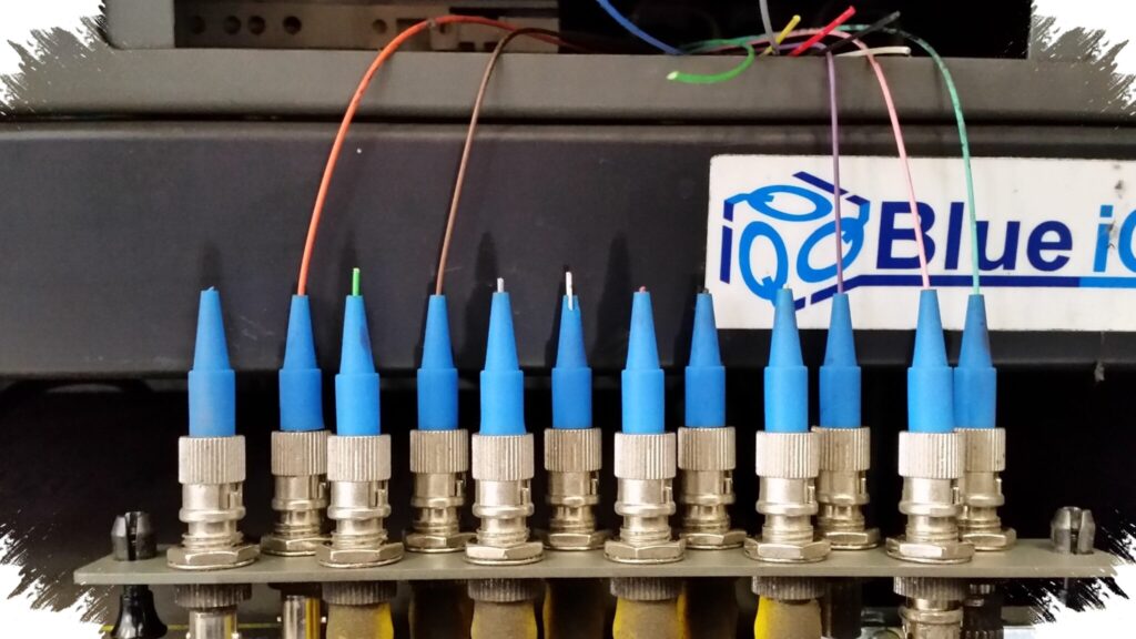 Gigitan Tikus Lumpuhkan Jaringan Fiber, Ancaman Infrastruktur Kota Kian Nyata