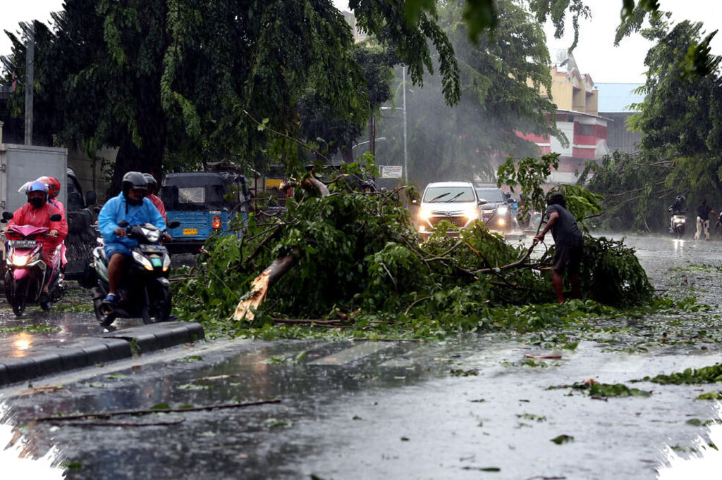 BMKG Ingatkan Hujan Petir Meluas Di Jateng, 7 Kabupaten Paling Awal Terdampak
