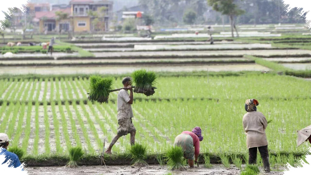 Stok Beras Pemerintah Tembus 5,28 Juta Ton, BI Perkuat Tahan Gejolak Harga Pangan