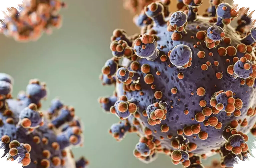Andes Virus Di MV Hondius, Satu-Satunya Hantavirus Yang Terbukti Menular Antarmanusia
