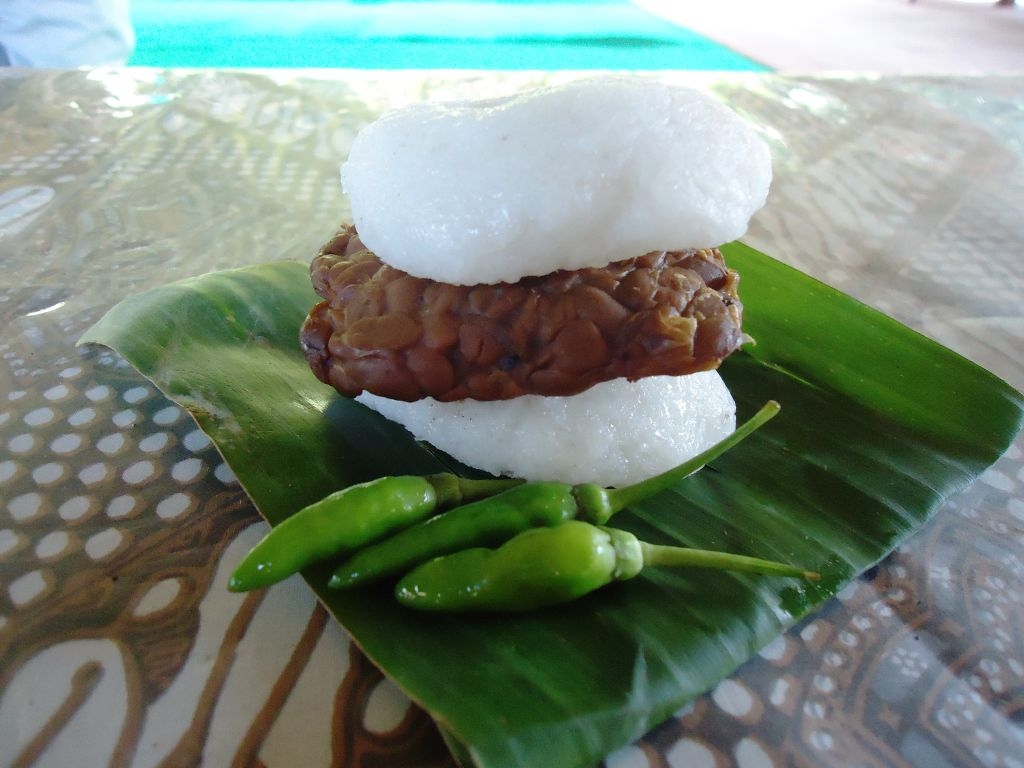 Kemasan Kekinian Dan Varian Beku Bikin Jadah Tempe Mbah Carik Naik Kelas Sebagai Oleh-Oleh Jogja