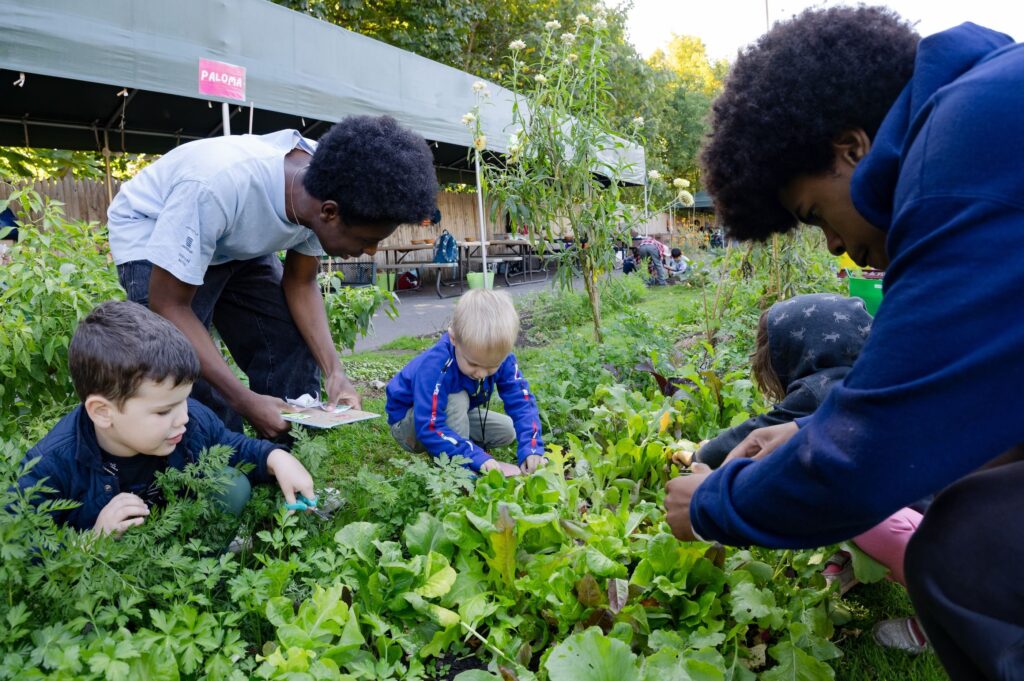 Kebun Sayur Komunitas Jadi Ruang Edukasi Menyenangkan, Dari Petik Sendiri Hingga Wisata Malam