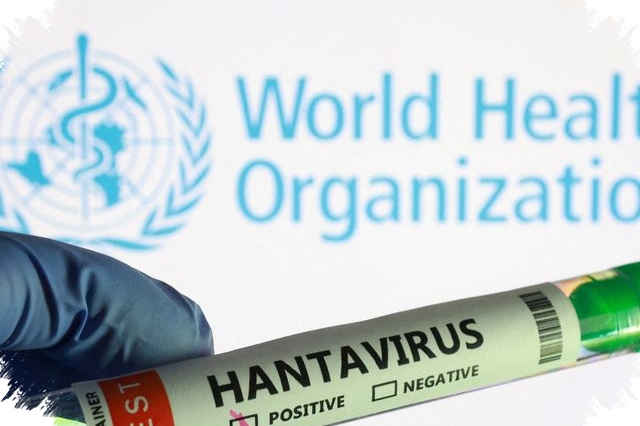 Karantina 45 Hari Menanti Penumpang Kapal Pesiar, WHO Susun Tanggapan Cepat untuk Hantavirus