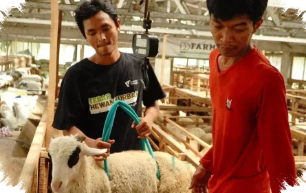 Dompet Dhuafa Jateng Perketat Pemeriksaan Hewan Kurban, Jaga Kepercayaan Pekurban Saat Iduladha Dekat