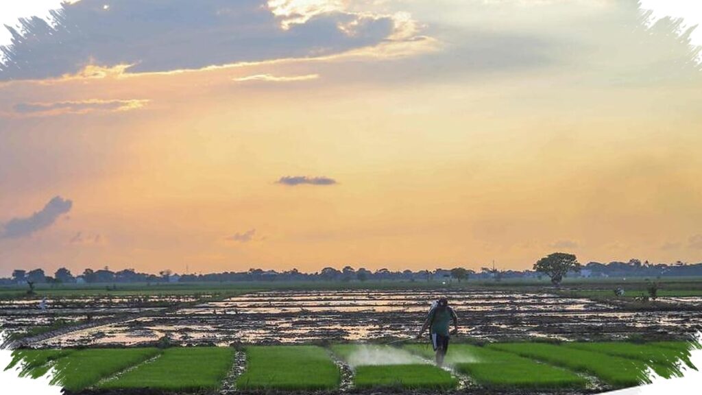 43 Zona Musim Jatim Mulai Kemarau Lebih Dulu, Surabaya Siap Menanggung Gerah Lebih Lama