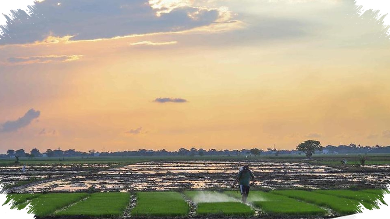 43 Zona Musim Jatim Mulai Kemarau Lebih Dulu, Surabaya Siap Menanggung Gerah Lebih Lama
