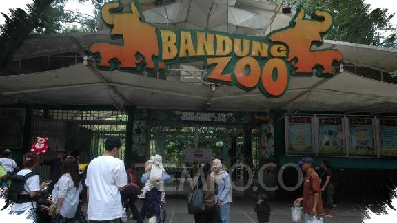 Bandung Zoo Masih Dijaga Pemerintah, BUMD Jabar Siap Masuk Jika Lelang Tak Berhasil