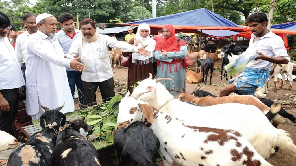 Jelang Idul Adha 2026, Kambing Di Malang Tembus Rp2,3 Juta Saat Blantik Luar Daerah Memborong
