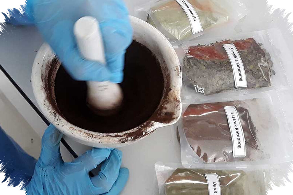 Herbal Kini Jadi Bagian Rutinitas Kebugaran, Pasar Nasional Ikut Berubah