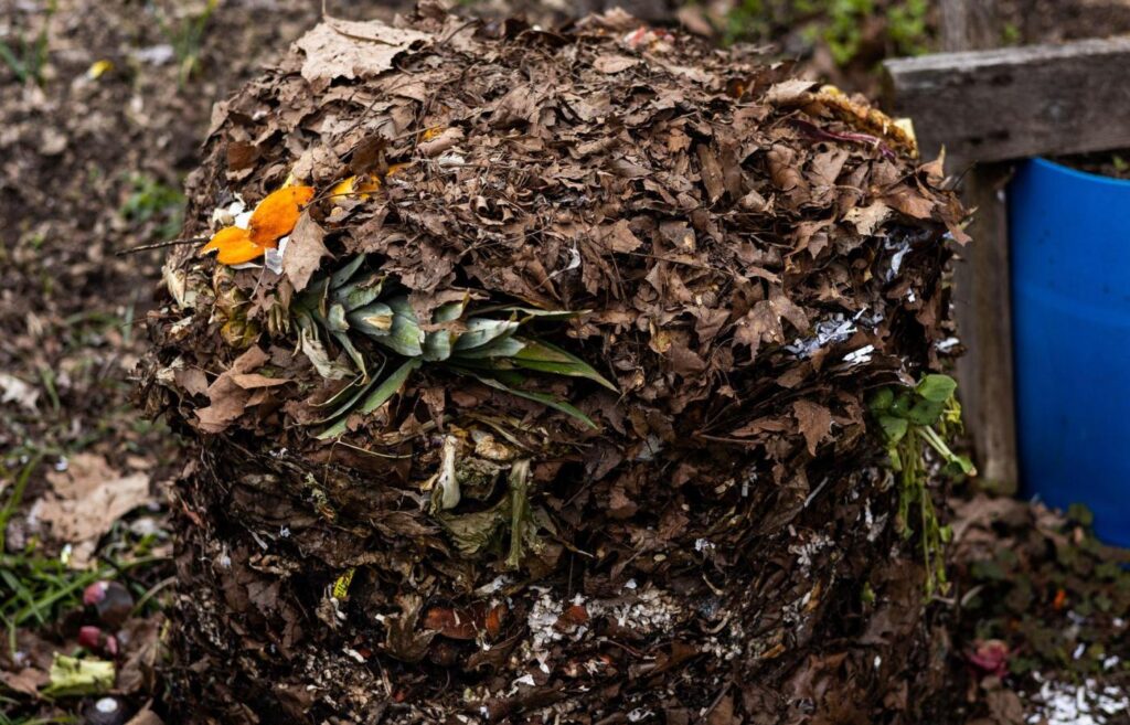 Daun Kering Tak Lagi Jadi Sampah, Bahan Sederhana Ini Bisa Menyuburkan Tanah