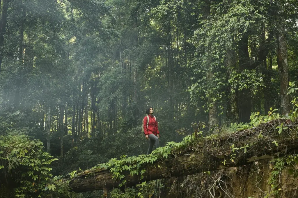Silent Walking Pagi Hari Membantu Pikiran Lebih Rapi, Stres Ikut Menurun Tanpa Gawai