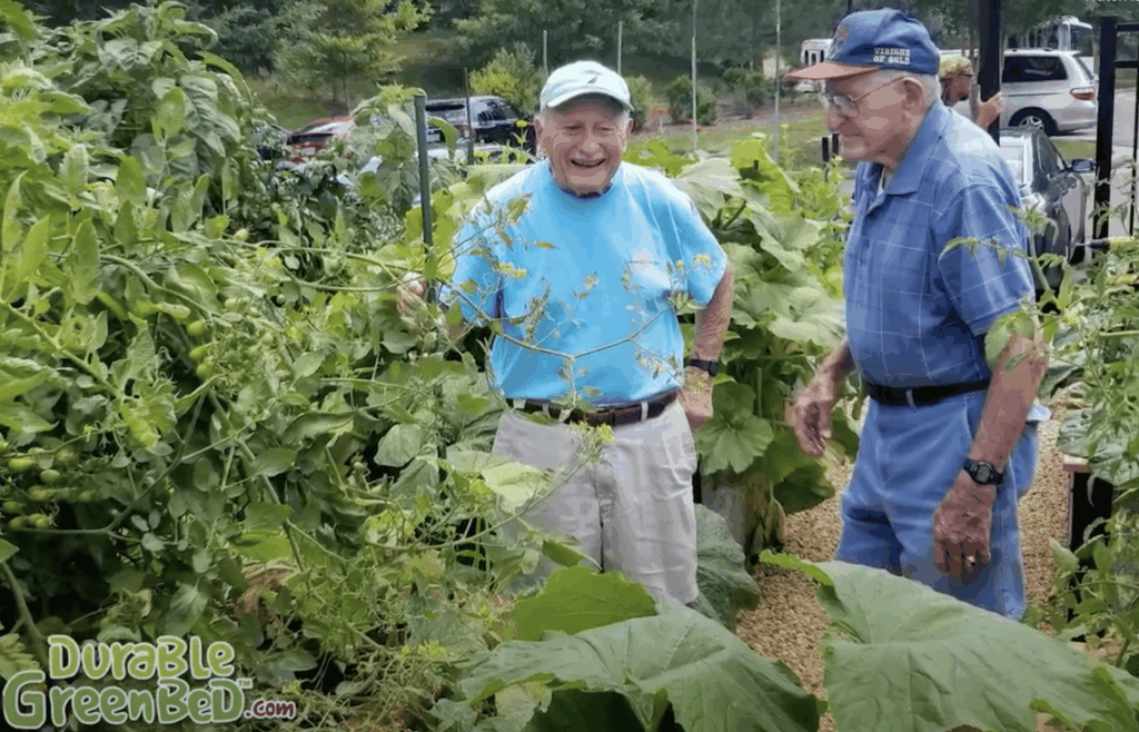 Kebun Sayur Gantung, Cara Nyaman Bagi Lansia Berkebun Tanpa Membungkuk Lelah