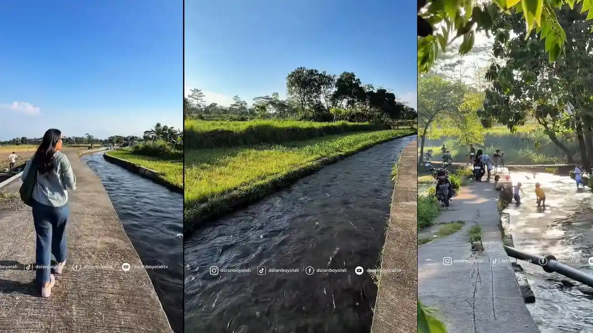Irigasi Penting Di Tengah Sawah Boyolali, Kali Talang Tawarkan Sore Bening Yang Menenangkan