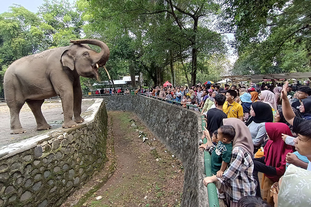 Kunjungan Ragunan Diprediksi Lampaui 120 Ribu Selama Libur Kenaikan Yesus Kristus
