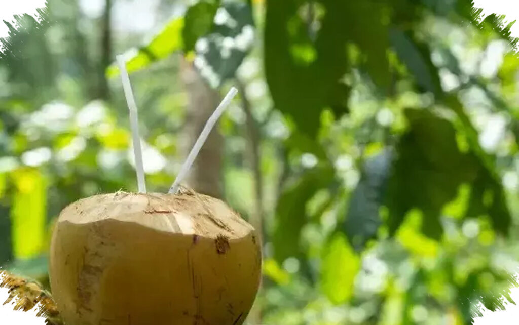 Sembilan Minuman Pagi yang Membantu Tubuh Lebih Siap, Dari Air Kelapa Hingga Kopi