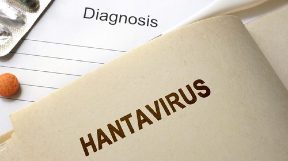 Hantavirus Sudah Menyebar Di Sejumlah Wilayah Indonesia, Penularannya Dekat Dengan Tikus
