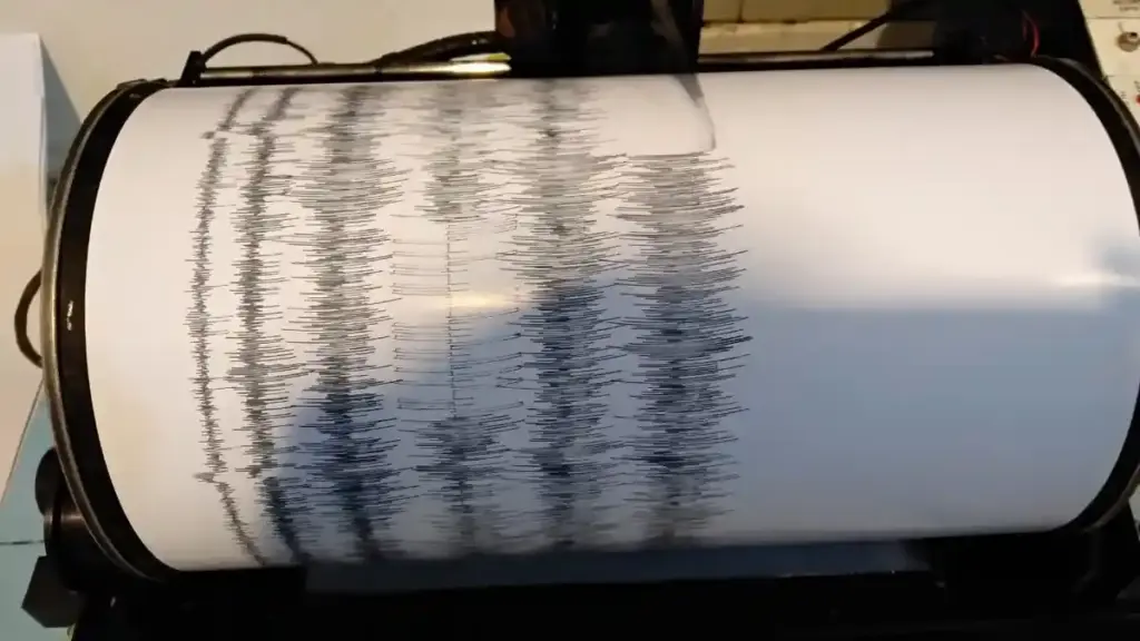 Kedalaman 87 Km, Gempa M2,8 Getarkan Jember Tanpa Potensi Tsunami