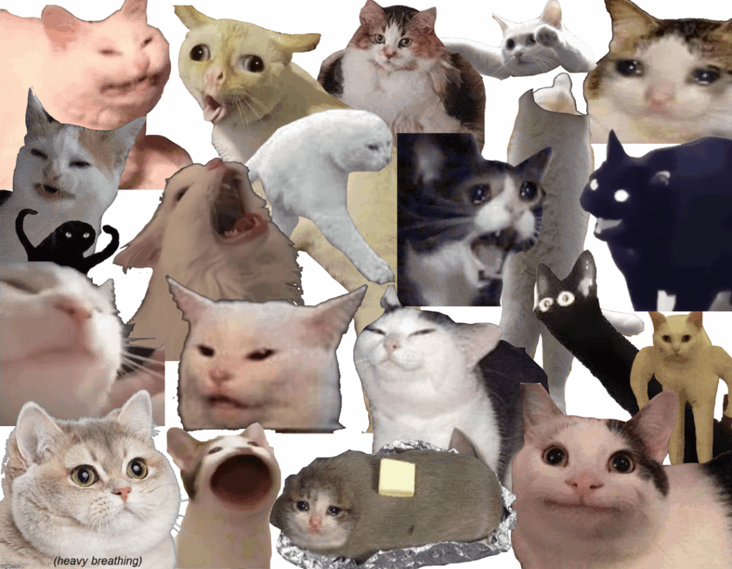 Dari Kucing Antariksa Sampai Ikon Internet, 13 Nama Ini Mengubah Sejarah Manusia
