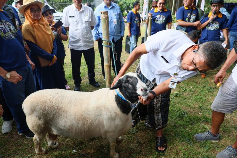 Jawa Tengah Siap Penuhi Kebutuhan Kurban 2026, Pengawasan Ternak Diperketat Hingga Jalur Distribusi