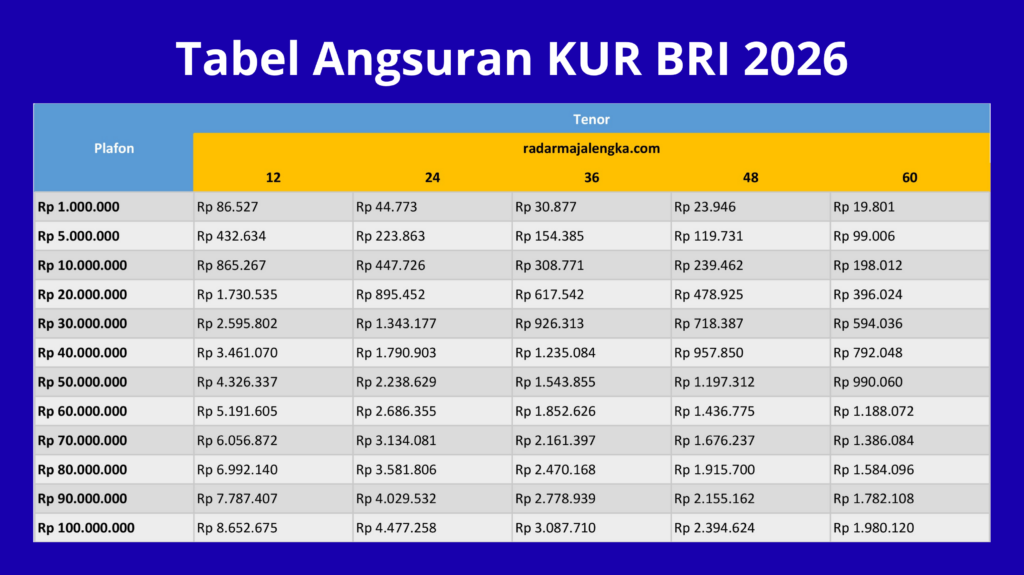 Pinjaman Hingga Rp100 Juta Tanpa Agunan dari KUR BRI, UMKM Makin Mudah Ajukan Modal