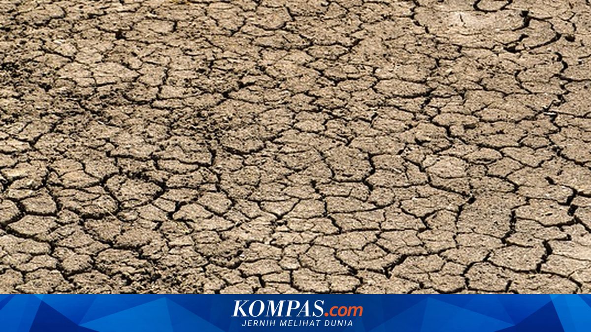 Agustus Jadi Puncak Kemarau Jawa Tengah, Hampir Seluruh Wilayah Masuk Fase Terkering
