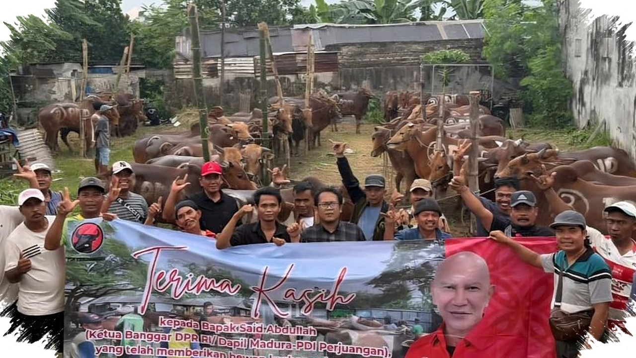 485 Sapi Kurban Dibagikan PDI-P Jatim, Kontras Dengan Rendahnya Konsumsi Daging di Daerah Penghasil Sapi