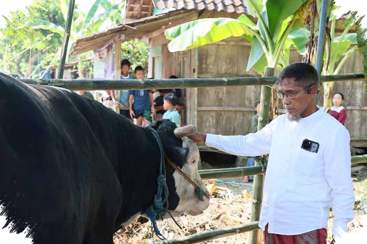 Bantuan Sapi Kurban 1,1 Ton Mengalir ke Tinanding, Warga Terdampak Banjir Dapat Harapan Baru