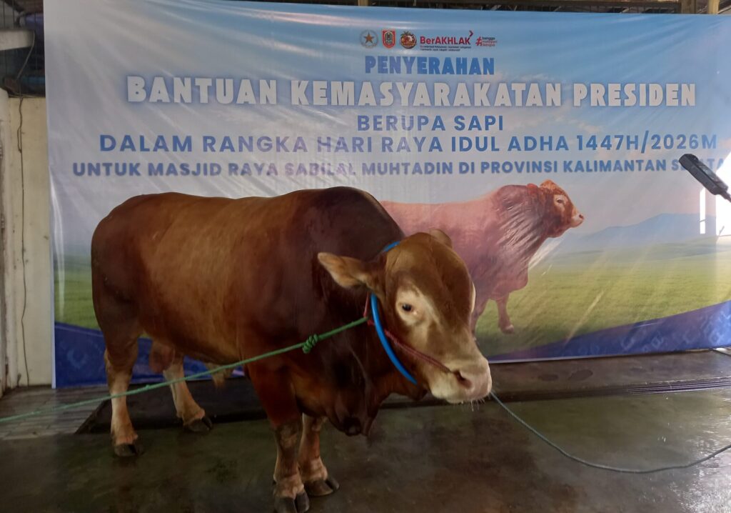 23 Ribu Ekor Disiapkan Kalsel, Pemeriksaan Sejak Mei Jaga Daging Qurban Tetap Aman
