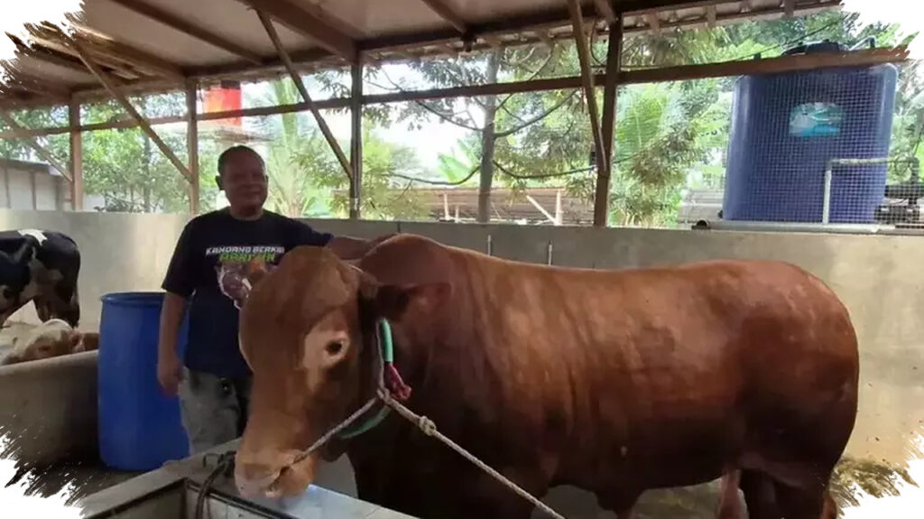 APBN Dipakai Untuk Kurban Prabowo, MUI Tegaskan Tak Keluar Dari Koridor Syar’i