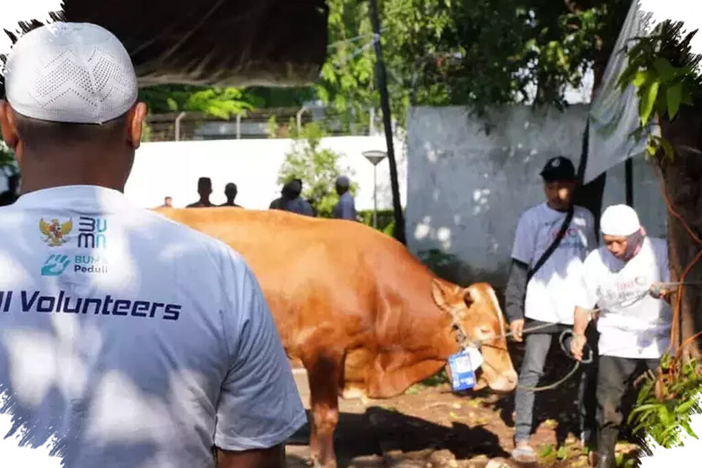 BNI Sebar 1.200 Hewan Kurban Ke Banyak Provinsi, Dari Jakarta Hingga Nusa Tenggara
