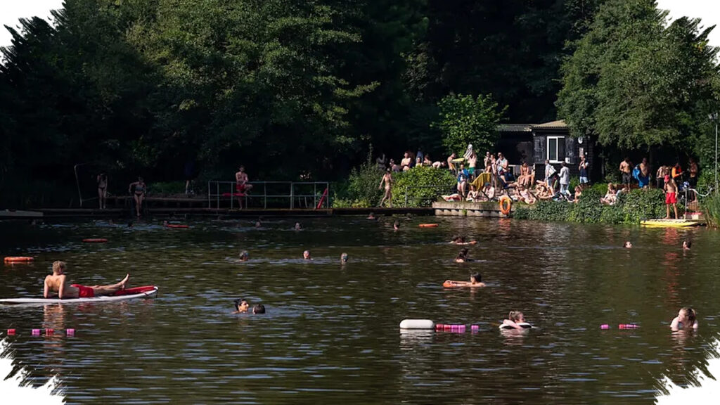 Gelombang Panas Dorong Perenang Masuk Kolam Konservasi London, Sarang Angsa Ikut Terancam