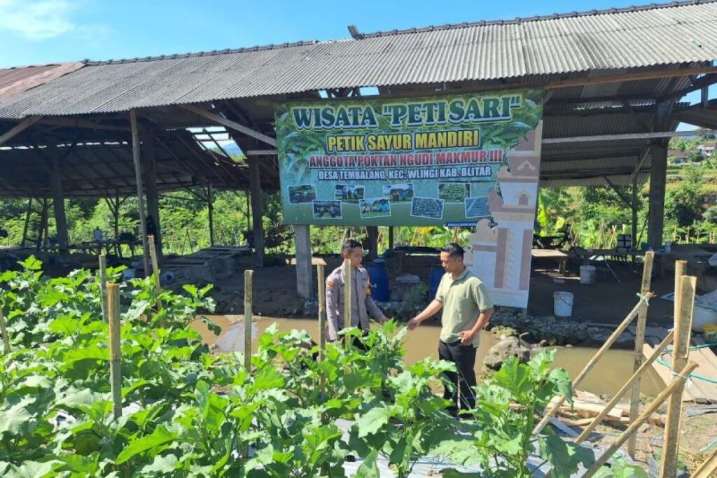Pekarangan Rumah Didorong Jadi Lumbung Pangan Keluarga, Polres Blitar Turun Mendampingi Warga