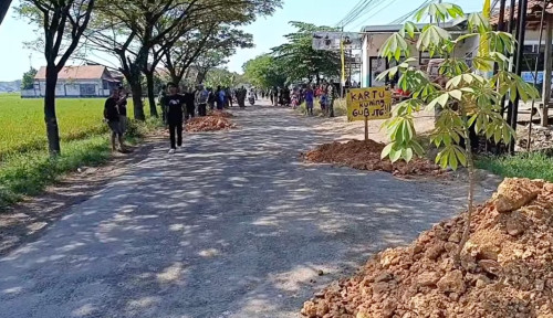 Jalan Randublatung-Cepu Ditanami Pohon Pisang, Warga Tersinggung Ucapan Gubernur Jateng