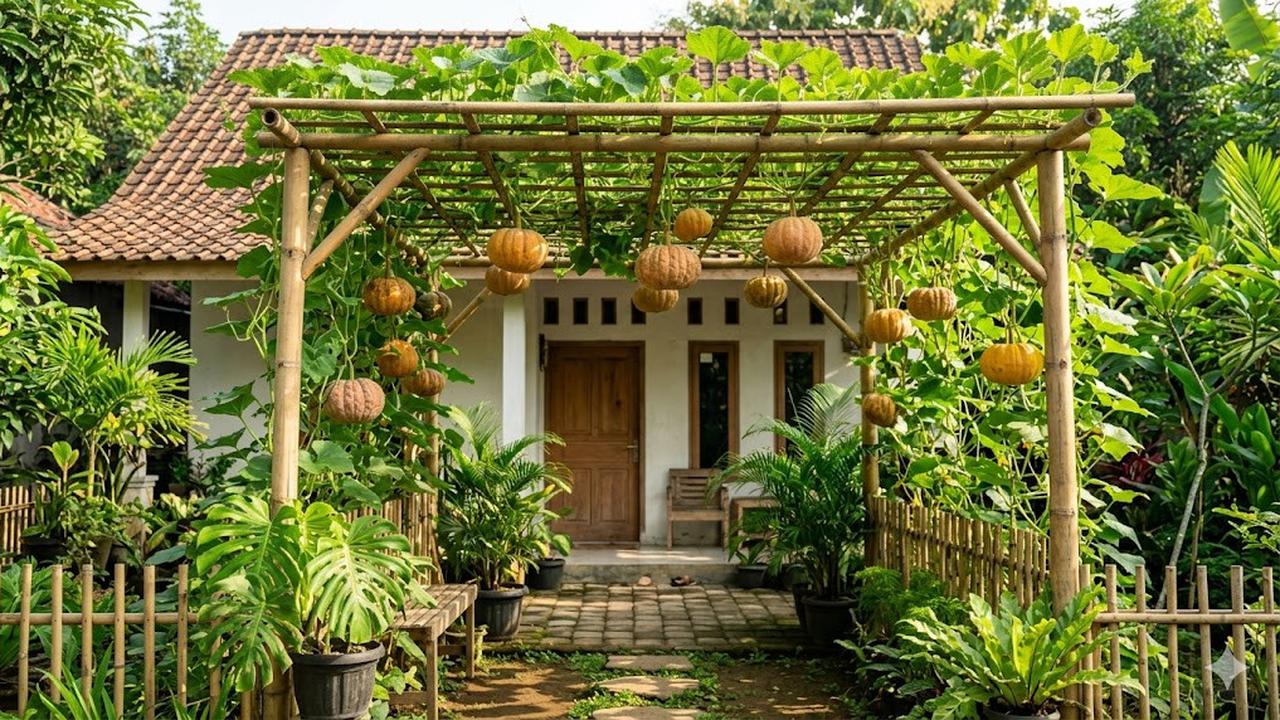 Kanopi Bambu Ini Bukan Sekadar Teduh, Tetapi Juga Panen Labu Kuning di Halaman
