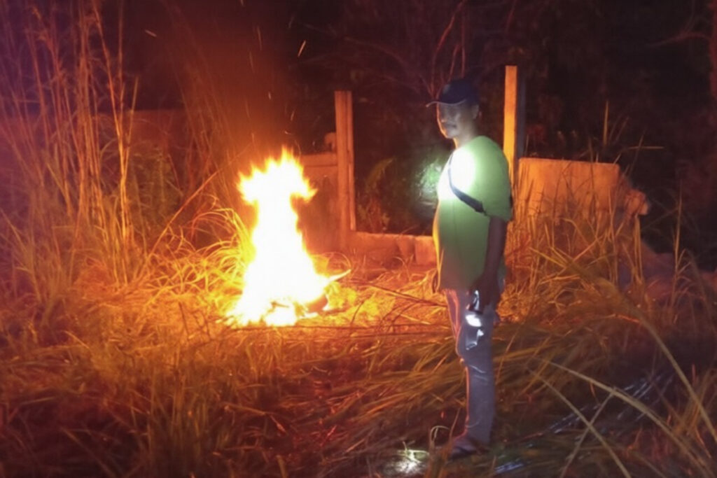 BBKSDA Riau Giring 11 Gajah Liar Kembali Ke Pinggir Hutan, Warga Rumbai Tetap Siaga Malam Hari