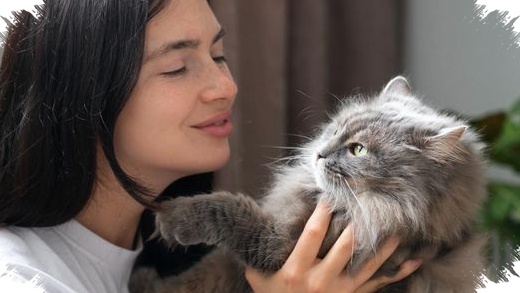 Interaksi Singkat Dengan Kucing, Bisa Membantu Menurunkan Stres Dan Menjaga Tekanan Darah
