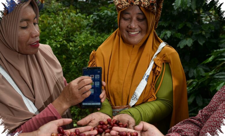 Penyaluran KUR BRI Tembus Rp65,95 Triliun, Pertanian Jadi Penerima Terbesar