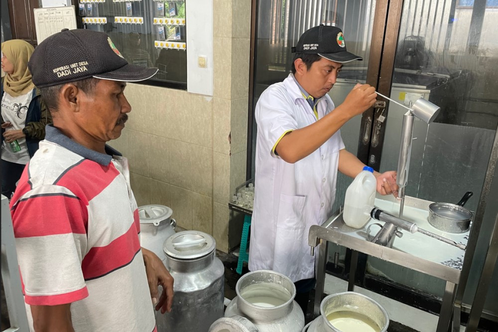 Defisit Susu Jatim Masih 600 Ton Sehari, Impor Sapi Perah Diperluas Lewat Kemitraan Swasta